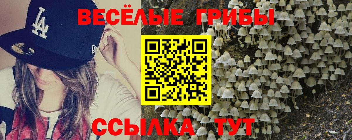 Галлюциногенные грибы MAGIC MUSHROOMS Бийск