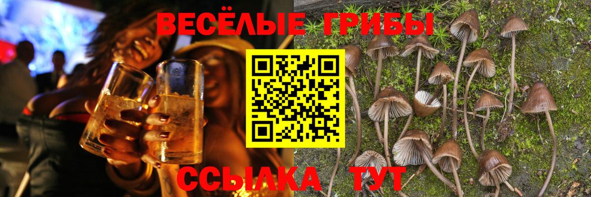 Бийск  наркошоп  Псилоцибиновые грибы Psilocybe  Вход с VPN  Псилоцибиновые грибы MAGIC MUSHROOMS 